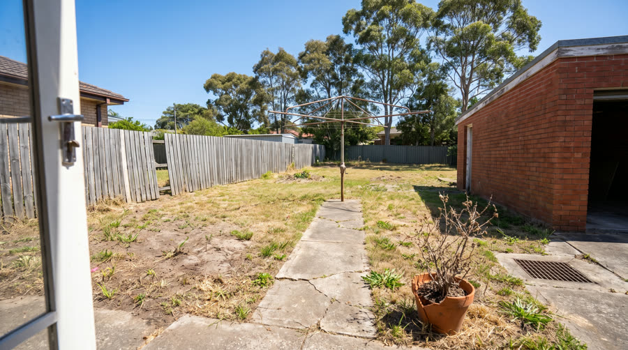 Dead, patchy lawn and bare dirt before renovation starts